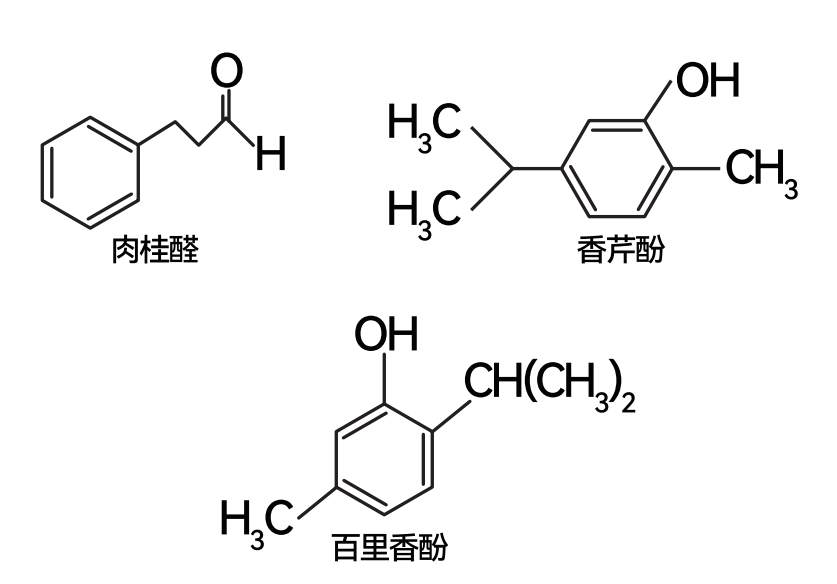 图片 10